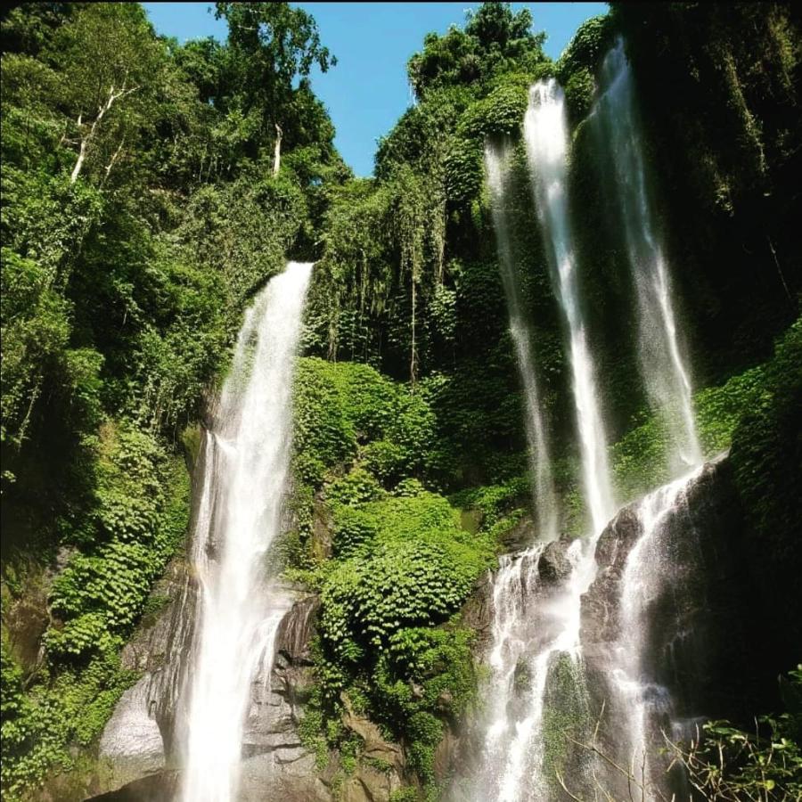 Homestay Friendly Lemukih Singaraja (Bali)