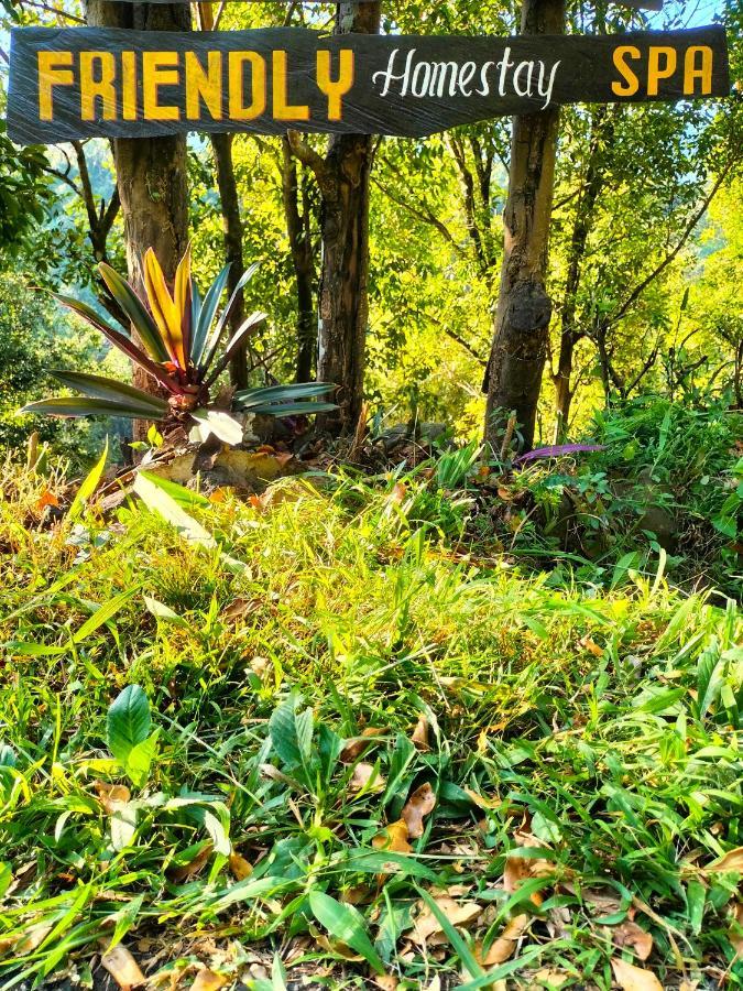 Friendly Lemukih Homestay Singaraja (Bali)